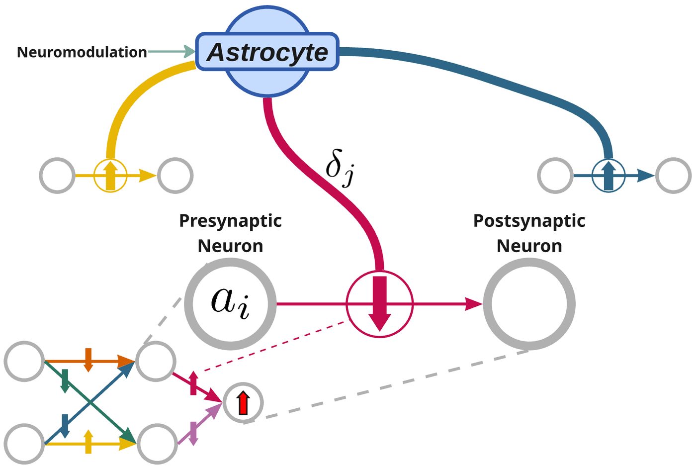 Key figure from the paper &ldquo;δ Multiplexed Gradient Descent: Perturbative Learning with Astrocytes&rdquo;